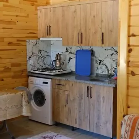 Villa Ilyas Apart Olympos